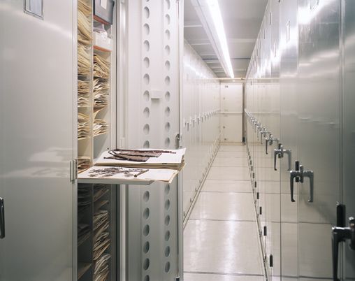 model 241 herbarium cabinet holding specimens