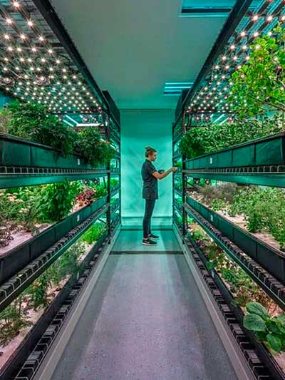 indoor agriculture storage