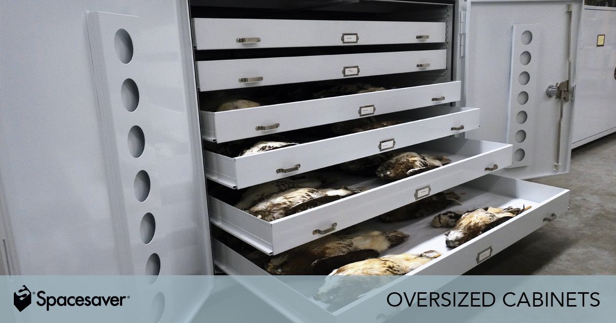 cabinet Oversized Cabinets | Spacesaver Museum Cabinets