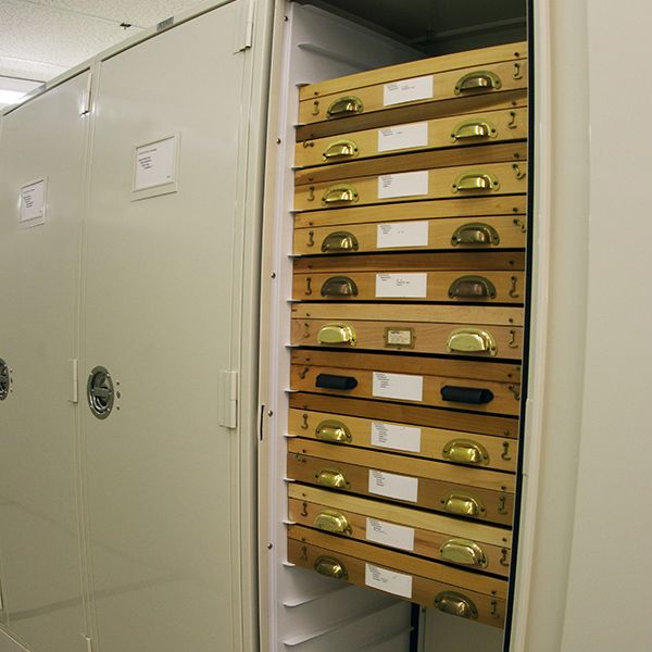 artwork preservation entomology cabinets