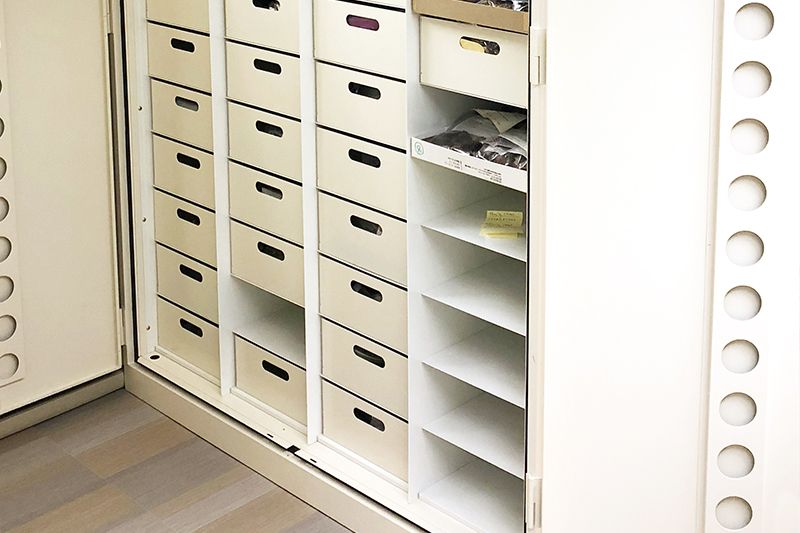botany cabinet with specimen boxes