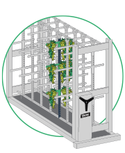 cannabis indoor farming drying system