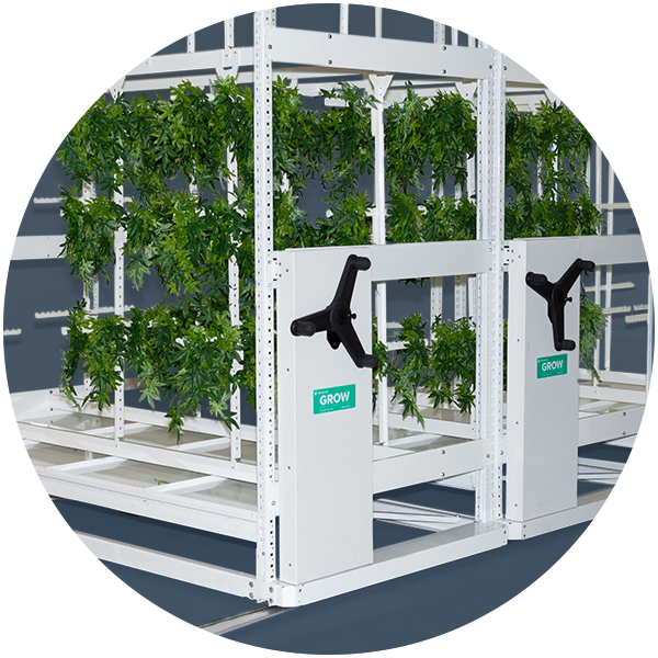 cannabis vertical mobile drying system