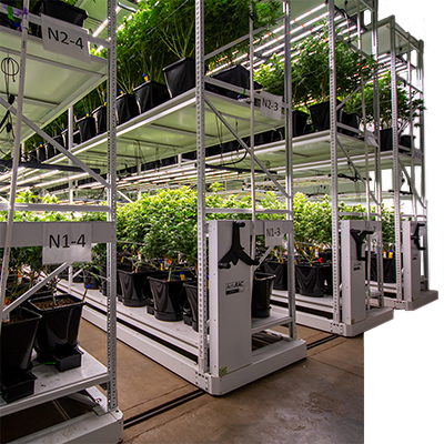 cannabis vertical racking mobile system