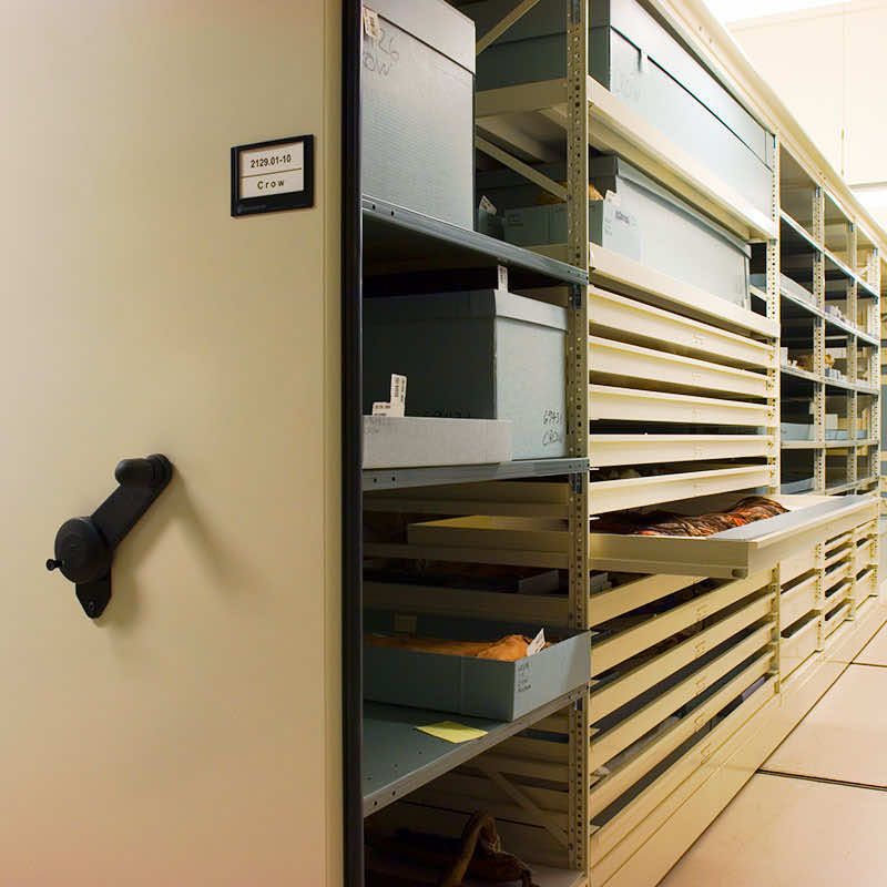 configurable museum shelving artifact storage