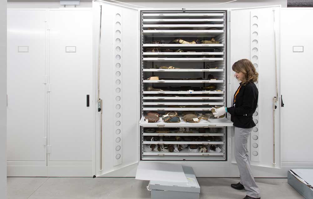 Museum staff member showing collection stored on pull out trays