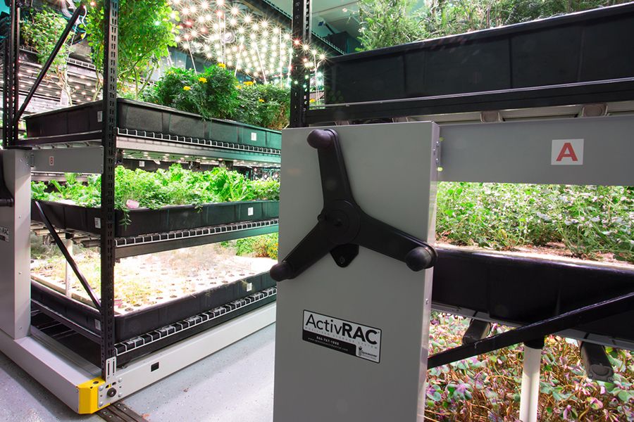 plants on a mechanical assist grow mobile system