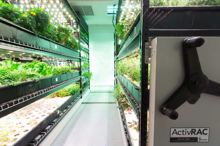 hydroponic shelves on mechanical assist mobile shelving system