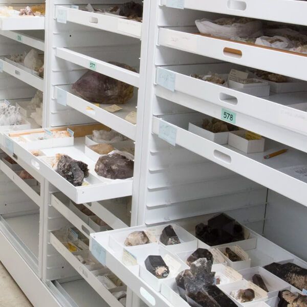 geology collection stored on Spacesaver storage trays