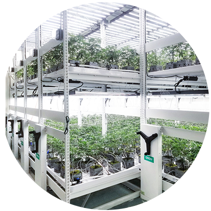 Spacesaver indoor mobile cultivation system 