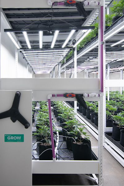 industrial cannabis racking systems