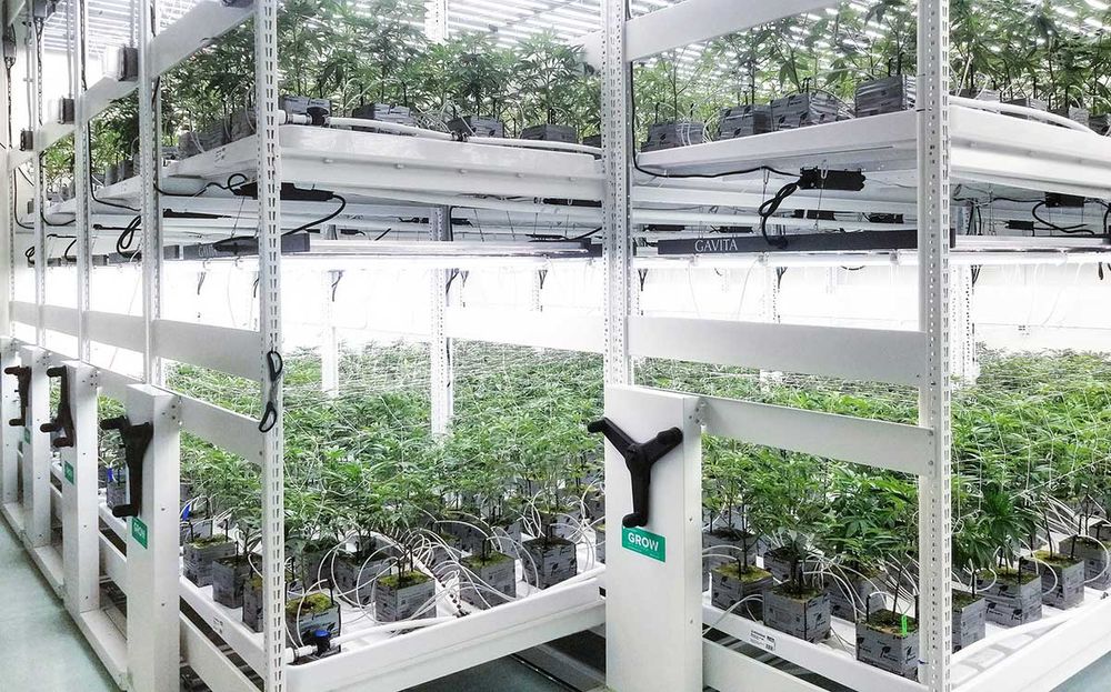 2 tier racking system in indoor farming facility