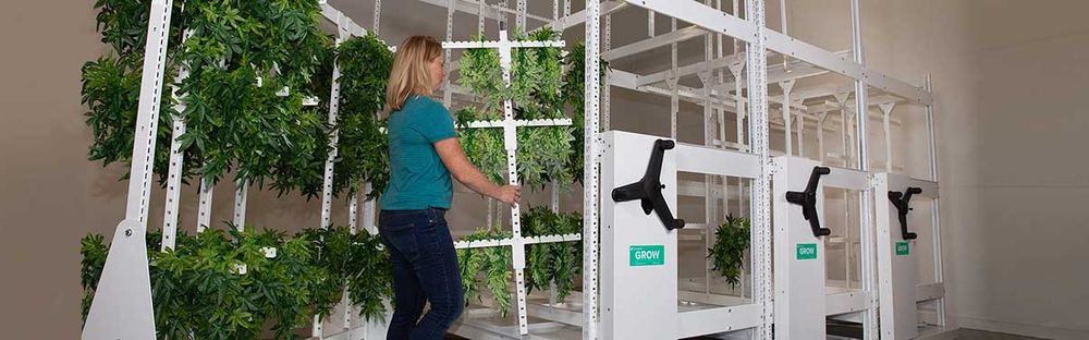 cannabis drying racks