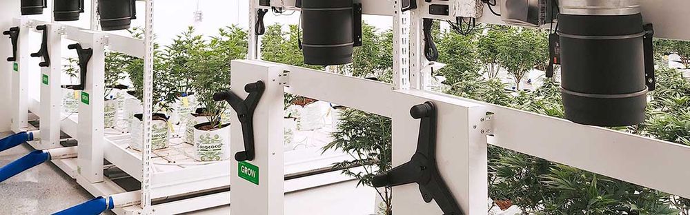 mechanical assist system for indoor cannabis growth