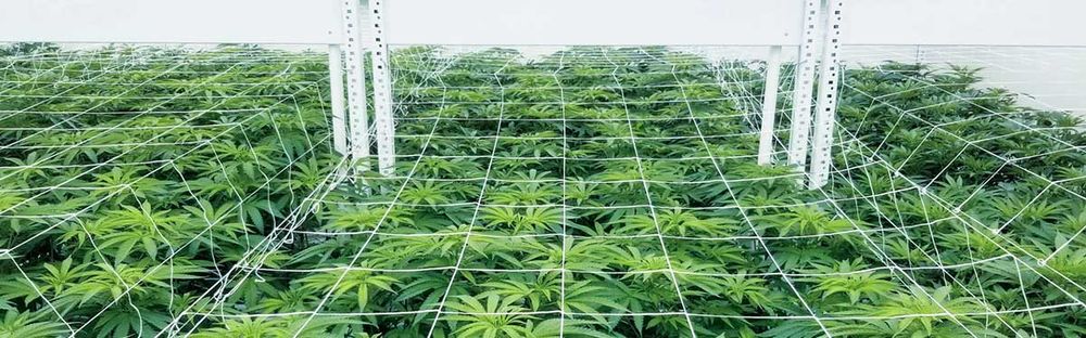 cannabis vertical grow racking accessories