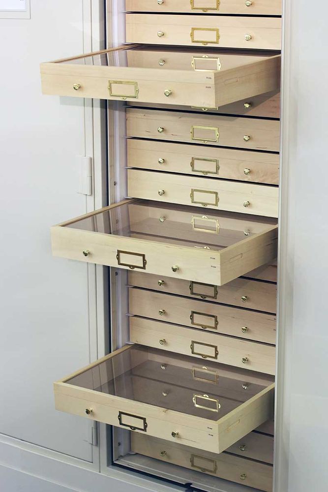 entomology cabinet with drawers pulled out