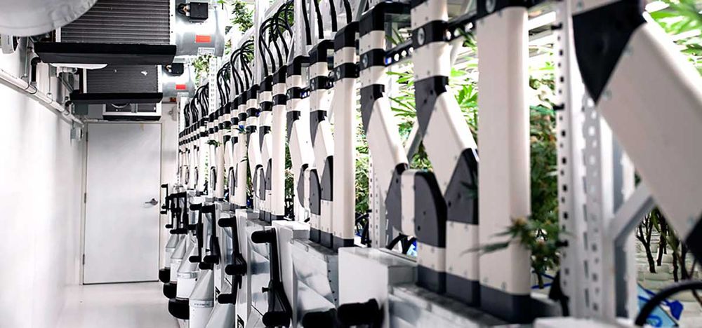 grow mobile system in an indoor grow facility for medical cannabis
