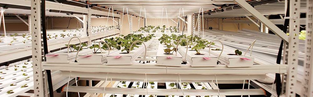 indoor hydroponics mobile system
