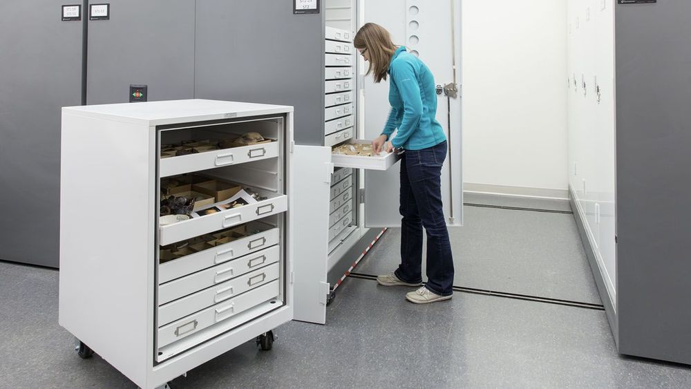 spacesaver natural history museum storage