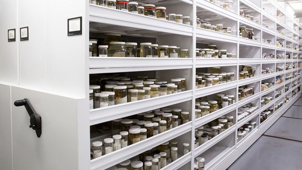 spacesaver science and technology museum storage
