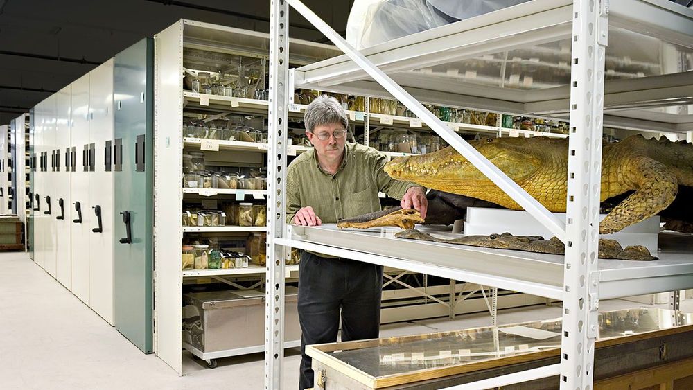 museum collection care best practices