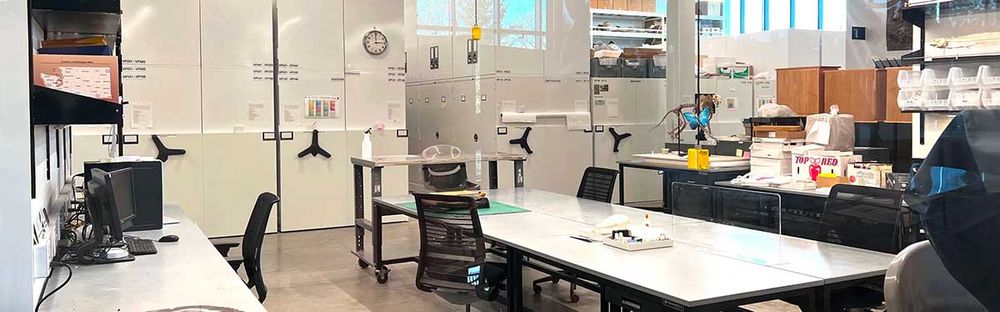 museum mobile storage system for collections in an office