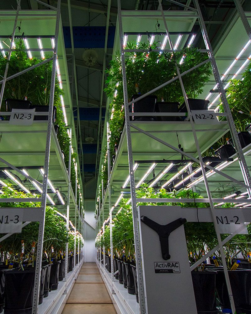 marijuana indoor growing equipment 3-tier