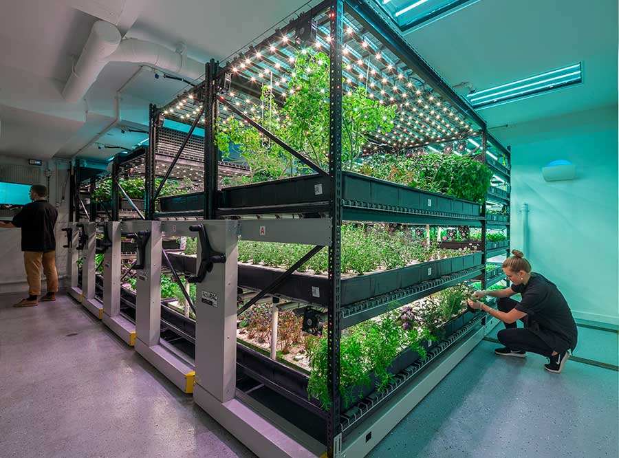 indoor farming vertical mobile racking system