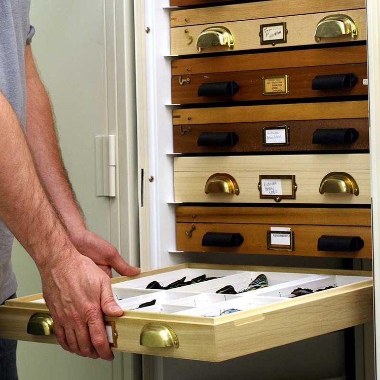entomology cabinet housing different drawer styles