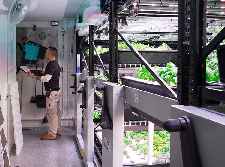 commercial indoor farm vertical grow racks