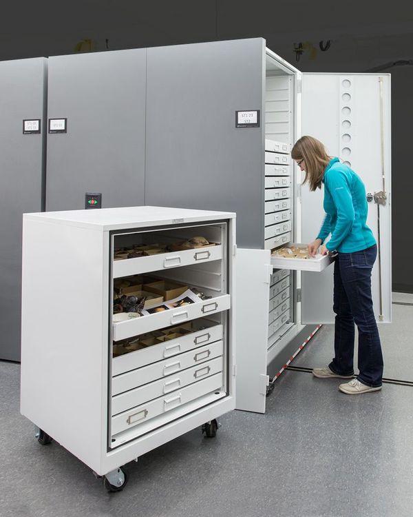 natural history speciman collection versatile storage solutions