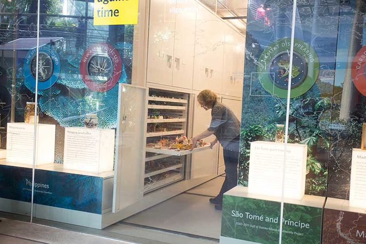 Storage cabinets on high-density mobile system