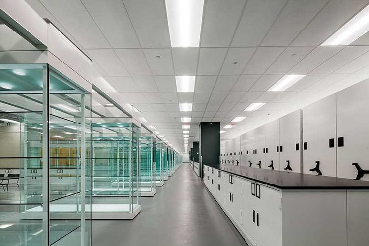 Museum storage cabinets and high density systems