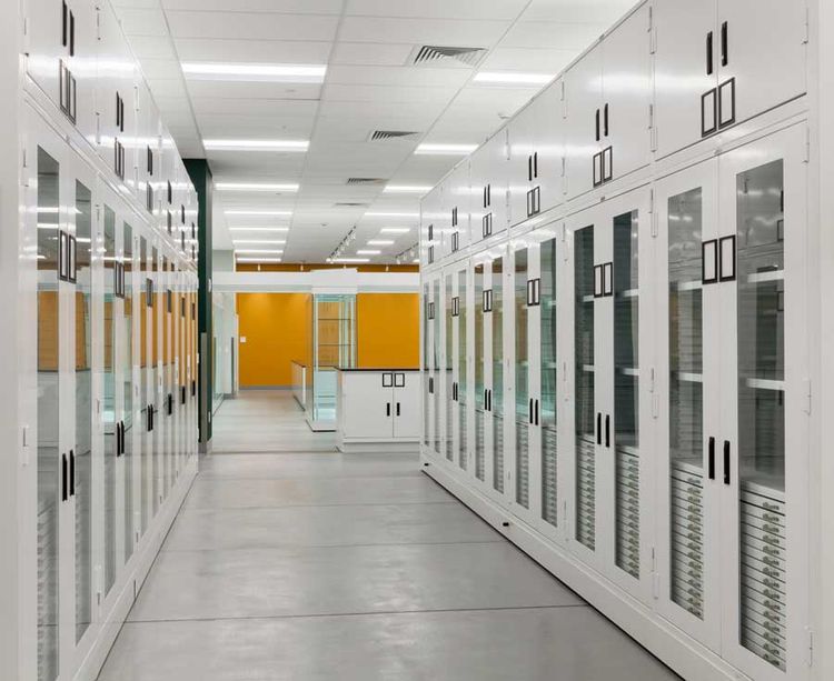 museum preservation cabinets