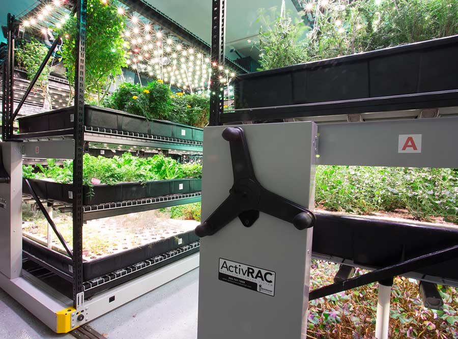 hydroponic multi tier commercial herb growing system