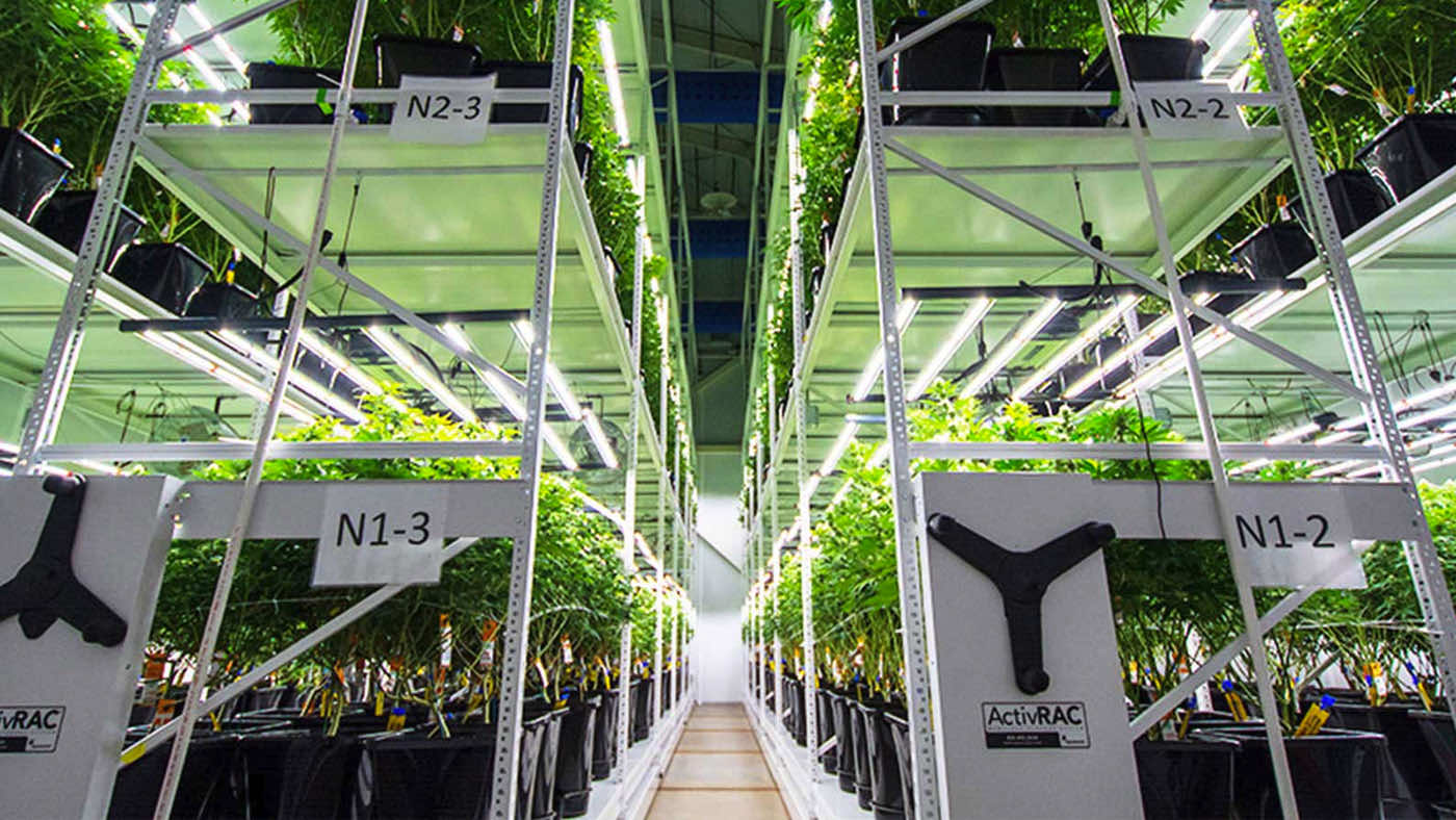mobile vertical grow racks in galenas indoor grow facility