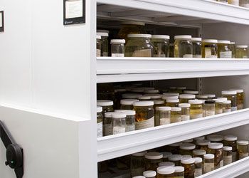 Agents of Deterioration in Museum Collections