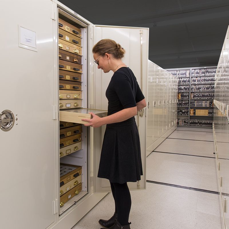 natural history botany collections storage