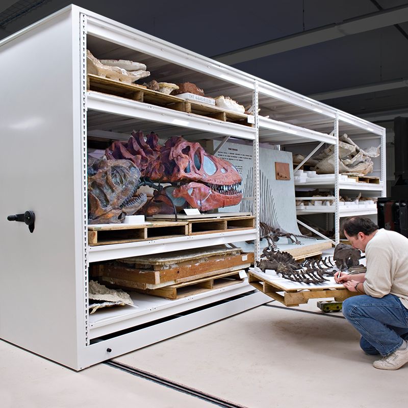 natural history dinosaur collection storage