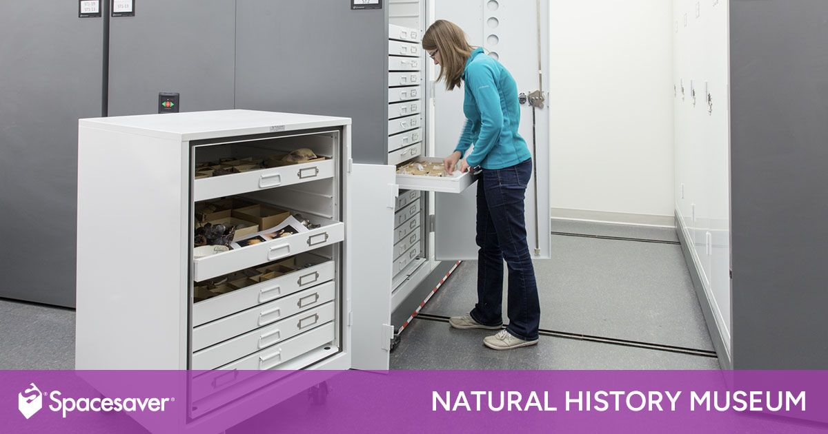 Natural History Museum Spacesaver Solutions