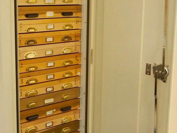 spacesaver entomology cabinet