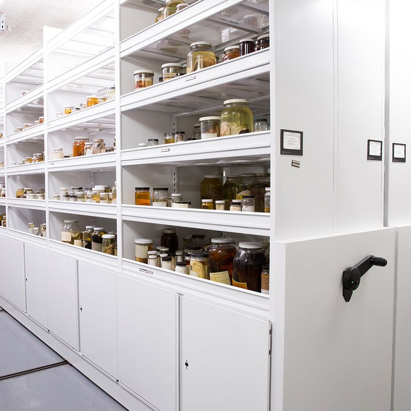 science specimen collection storage