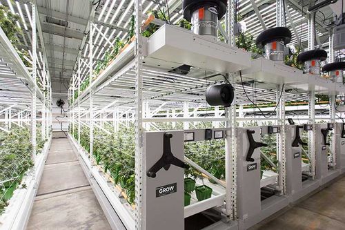 GROW mobile system with cannabis plants