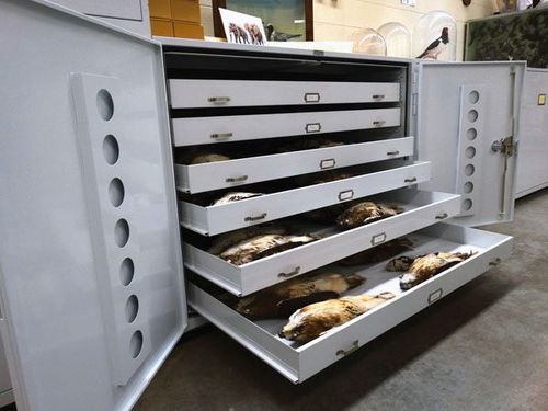 spacesaver oversize cabinet