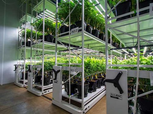 vertical grow mobile system - double decker