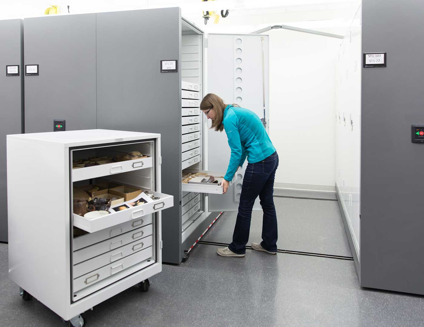 preservation cabinet in high-density mobile system