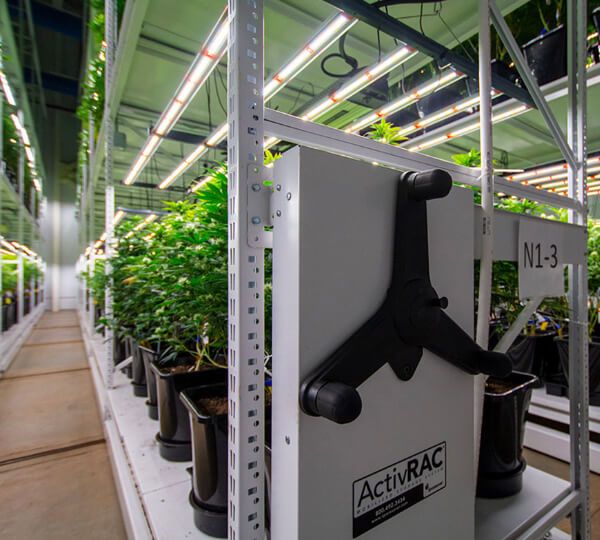 vertical grow racking system for indoor cannabis growth