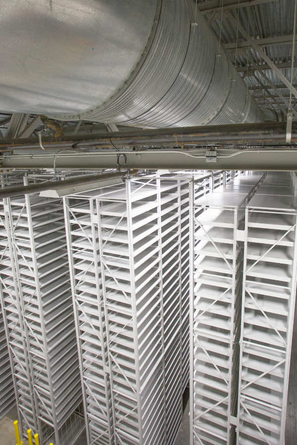 High-bay shelving facility stacks and fans on the ceiling