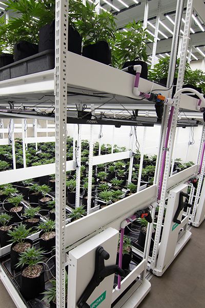 warehouse multi-tier vertical racking mobile grow systems